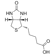 D-Biotin