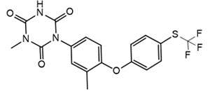 Toltrazuril